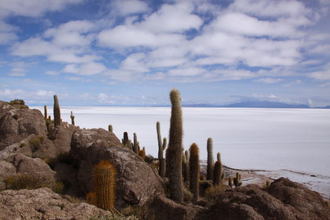 Bolivia022.jpg