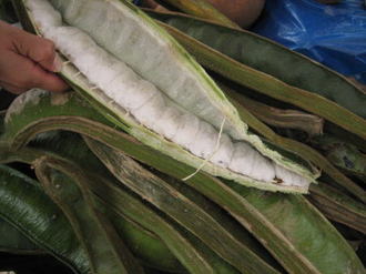 Peru081.jpg