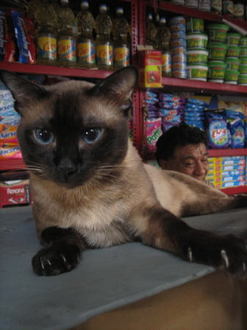 Peru088.jpg