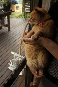 tama035.jpg